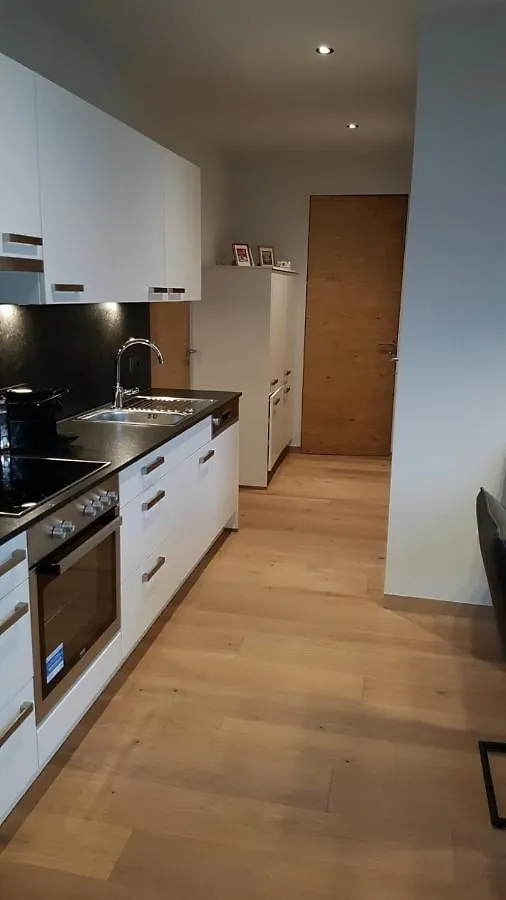 Apartment Appartement Mountainview Saalbach-Hinterglemm